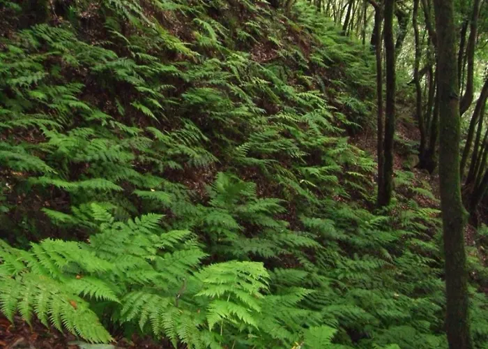 Casa Del Cu Bano B- Biosphere Reserve